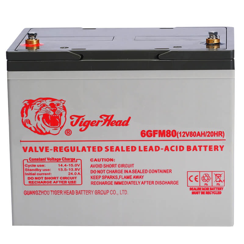 BATERÍA SOLAR 6GFM80