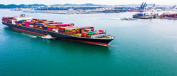 Pilas de botón Tiger Head